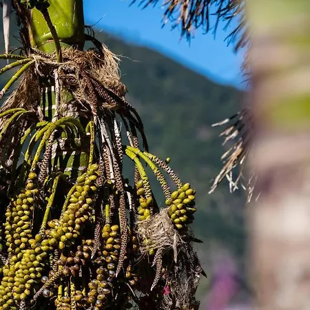 Appartamento Stone House 