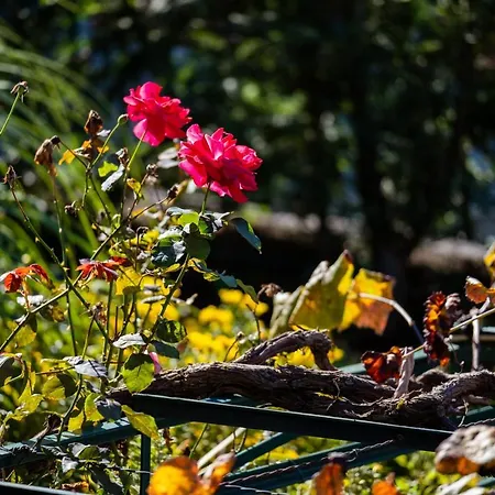 Appartamento Stone House 