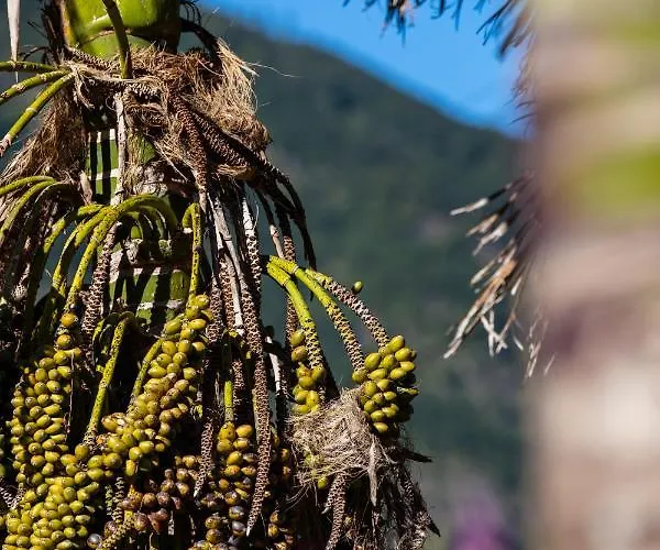 Apartment Stone House 