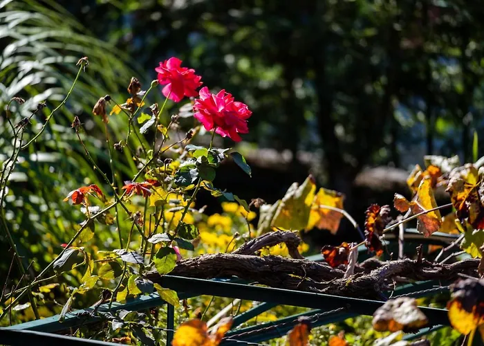 Apartment Stone House 